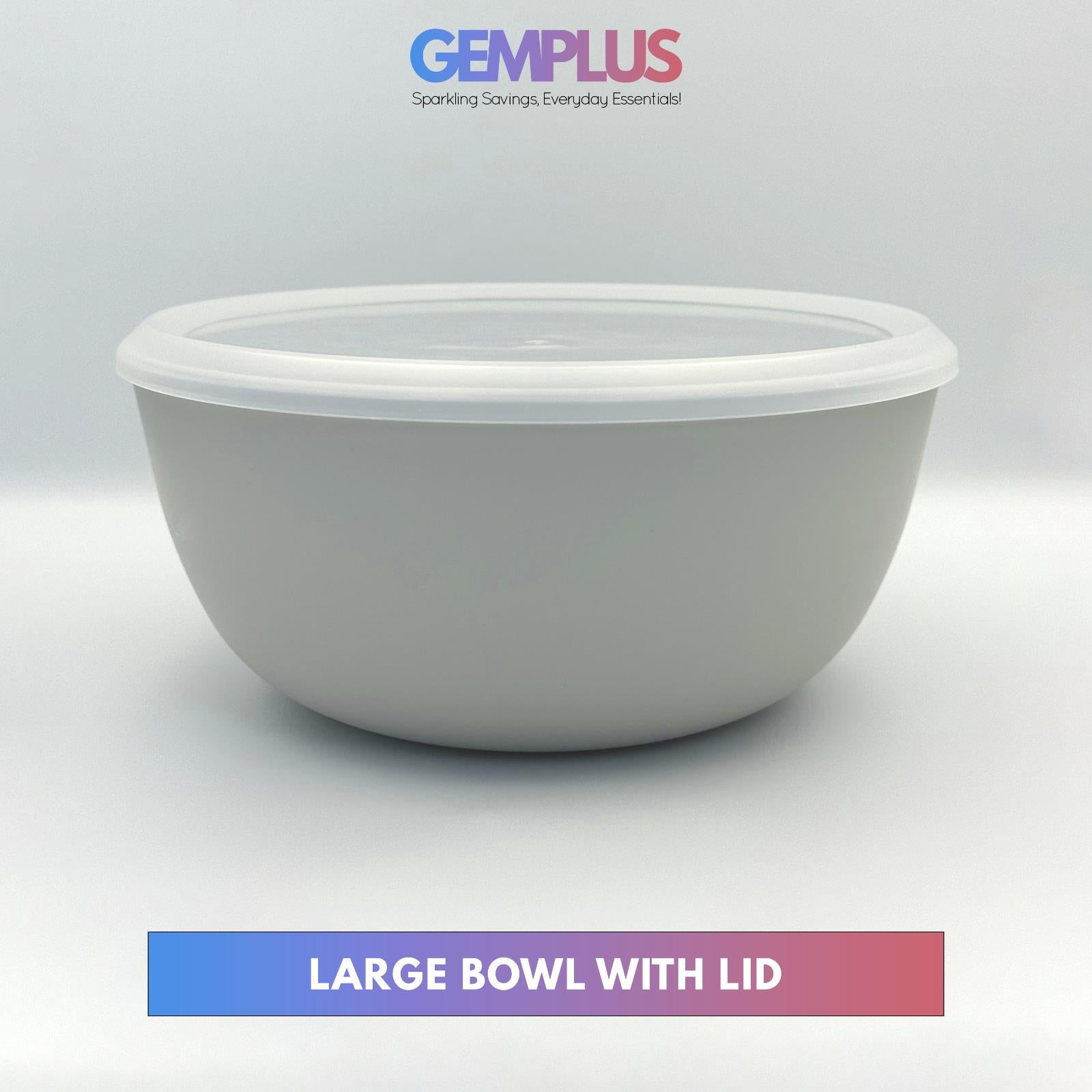 GEM+ | Premium 4 Pcs Multi-Purpose Bowl Set with 2 Colanders - Strainers & Sieve