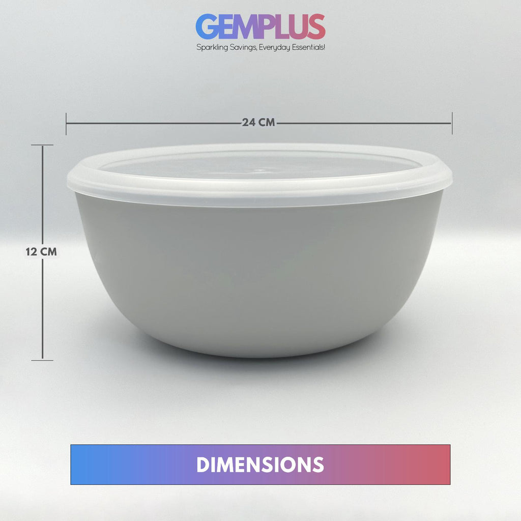 GEM+ | Premium 4 Pcs Multi-Purpose Bowl Set with 2 Colanders - Strainers & Sieve