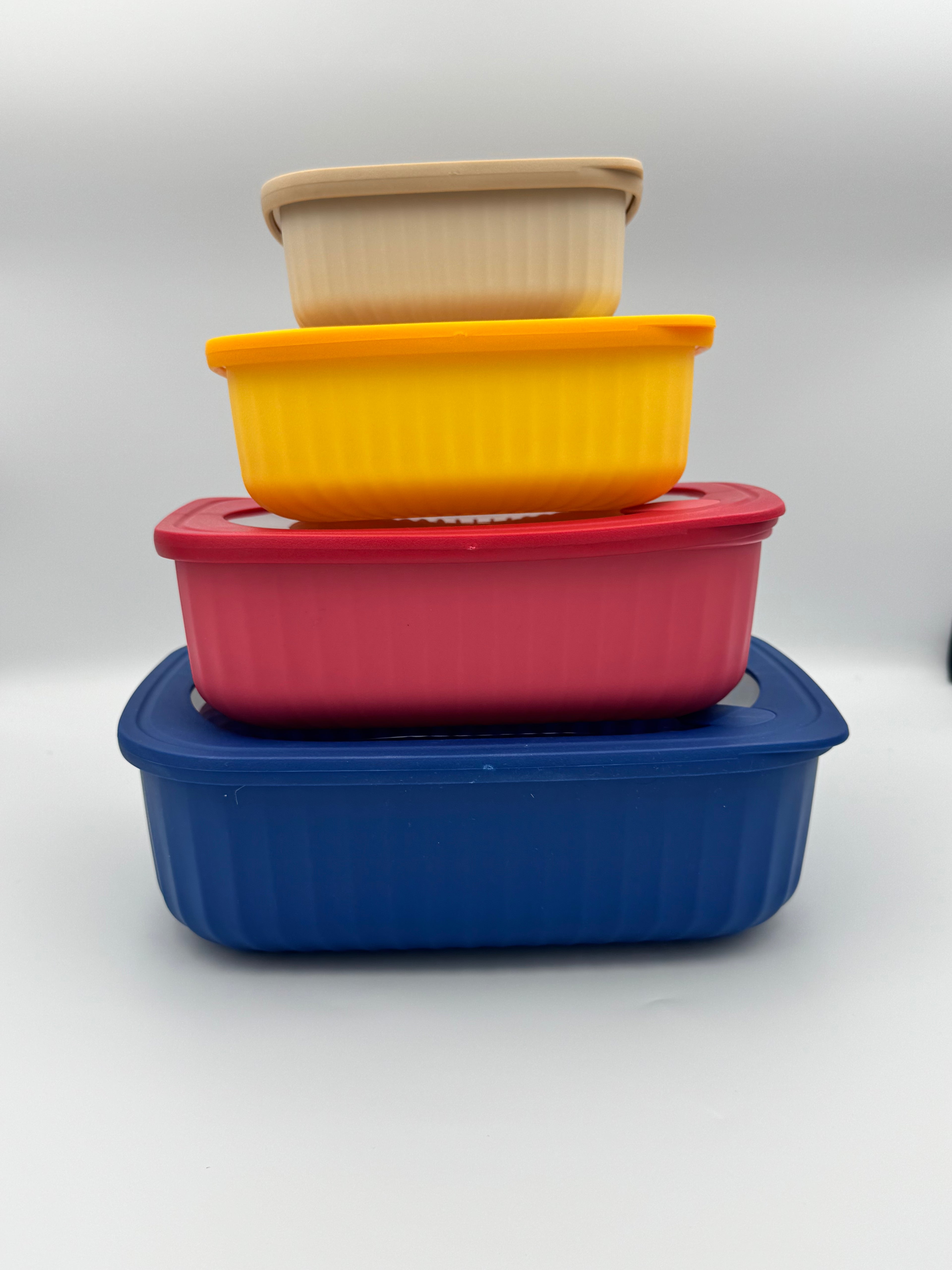 GEM+ | 4-Piece BPA-Free Rectangular Food Containers | Lock & Seal Lids | Microwave Safe