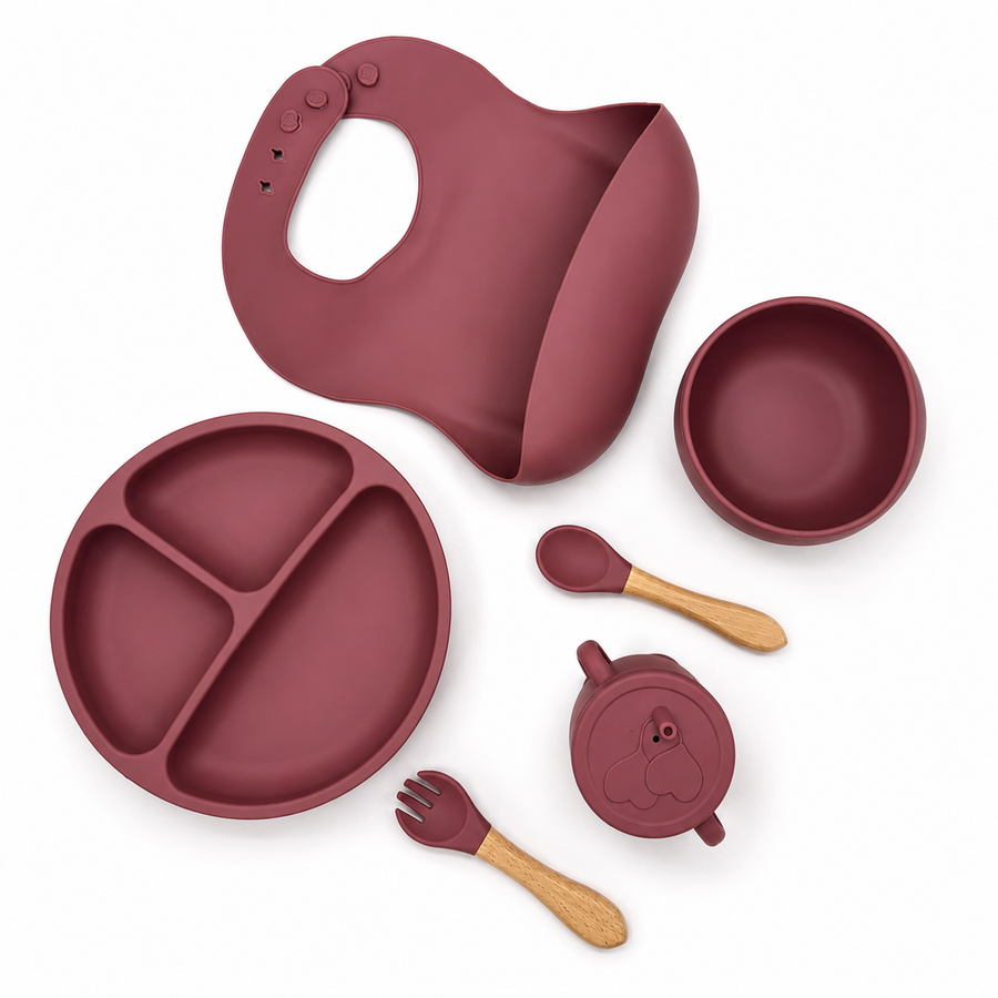 6-Piece Silicone Baby Feeding Set