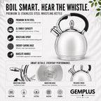 3L Stainless Steel Induction Whistling Kettle