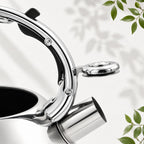 3L Stainless Steel Induction Whistling Kettle